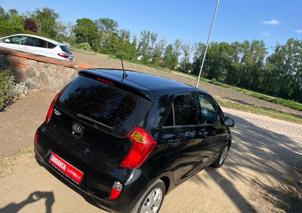 Kia Picanto cena 19999 przebieg: 171000, rok produkcji 2014 z Maków Podhalański małe 352